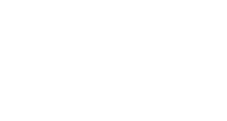 Limitless Investigative Solutions